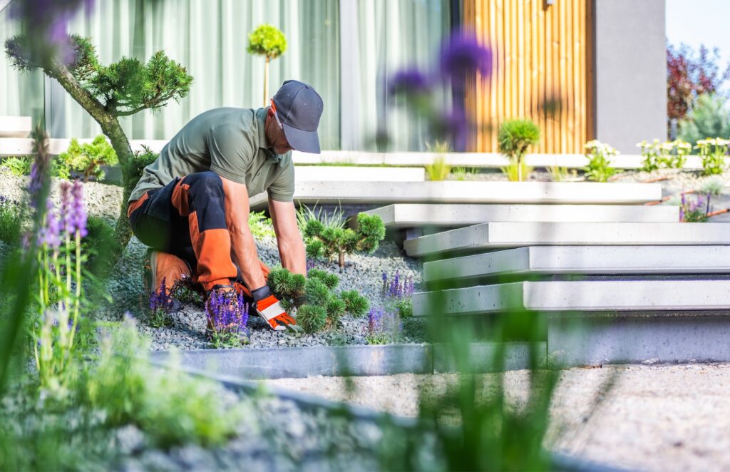 skilled-gardener-tending-to-plants-in-a-modern-lan-2026-03-20-03-43-05-utc